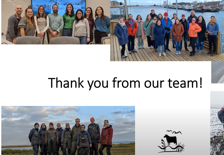 NordSalt tweet media