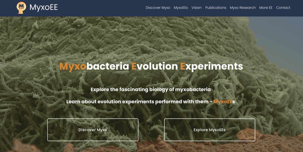 Great resource for Myxobacteria evolutionary folks from Greg Velicer
myxoee.org
