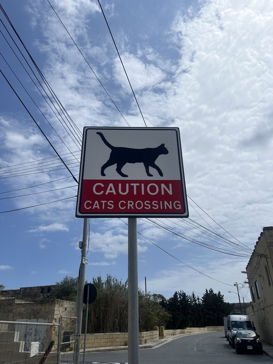 Every street should have these signs, keep the cats safe
