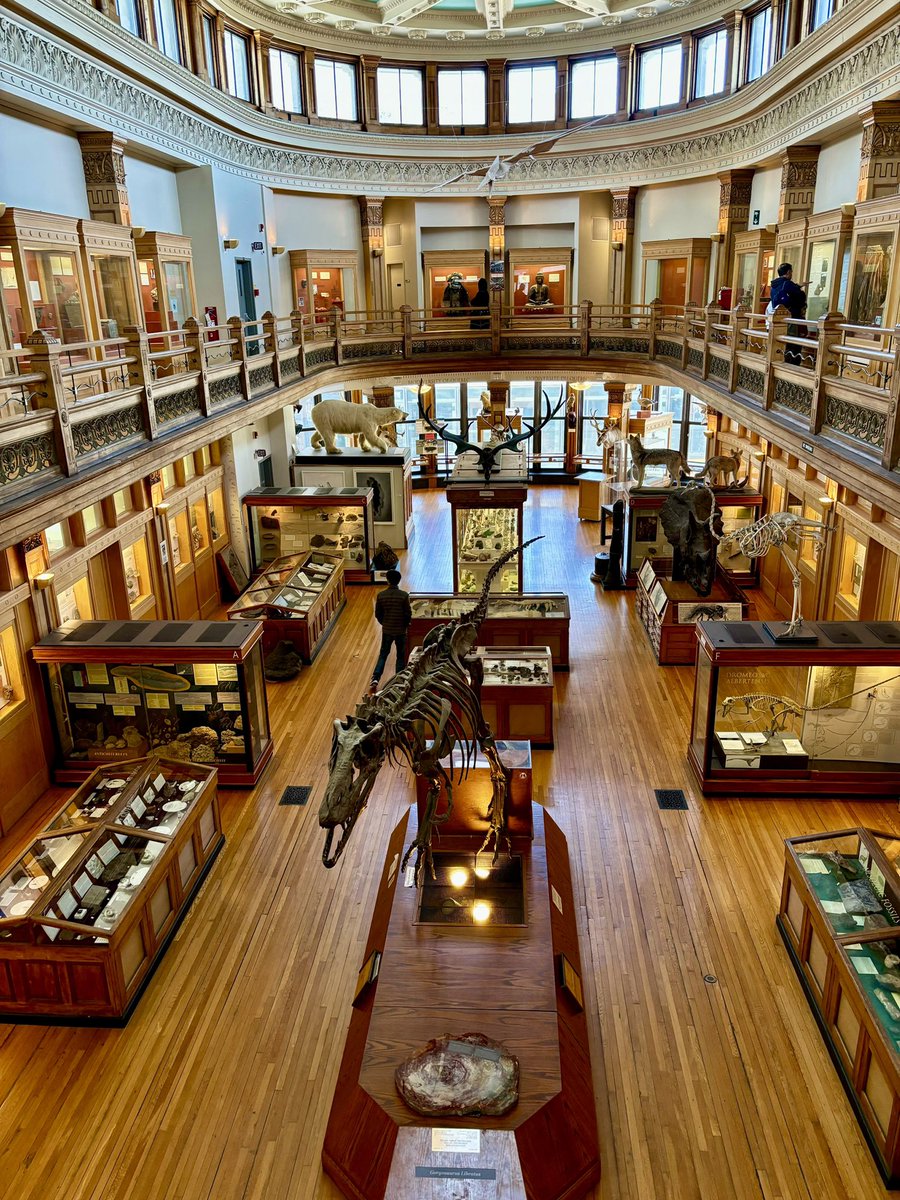 MichelineWilkie's tweet photo. Le Musée Redpath, construit en 1882 sur le campus de l’Université McGill, aiguise la curiosité des petits et grands et nous fait apprécier la diversité biologique et géologique du Québec. 🦕🐚 @Monmontreal
@Montreal @TourismeQuebec #redpathmuseum #universitemcgill @MCV_Montreal https://t.co/g05MFgBhxY