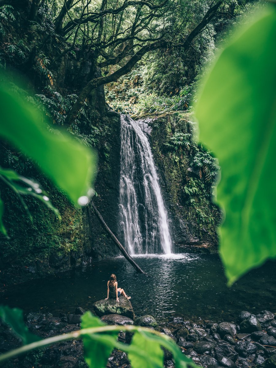 canipeljelle's tweet photo. Azores. What a place 💚
#azores #portugal @visitportugal #landscape #travel #wanderlust #reislust #azoren https://t.co/GqaYfxl1mI