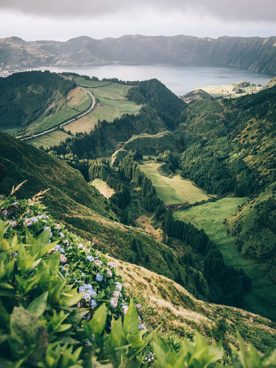canipeljelle's tweet photo. Azores. What a place 💚
#azores #portugal @visitportugal #landscape #travel #wanderlust #reislust #azoren https://t.co/GqaYfxl1mI