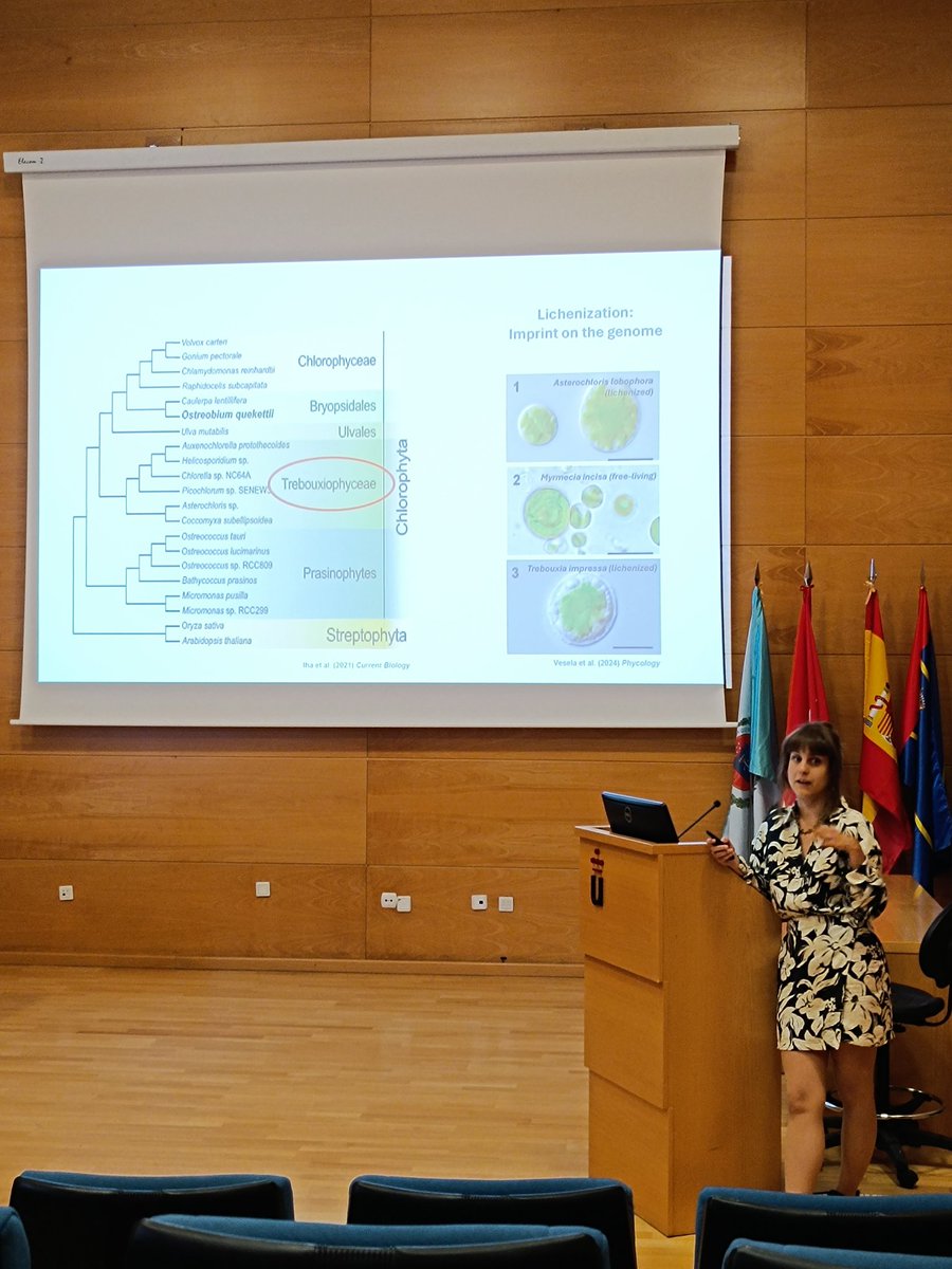 SymposiumBES's tweet photo. Ana García Muñoz nos ofrece una ponencia sobre "Integrating fungal and algal comparative genomics to understand the lichen lifestyle". https://t.co/1xhlAnuoS4