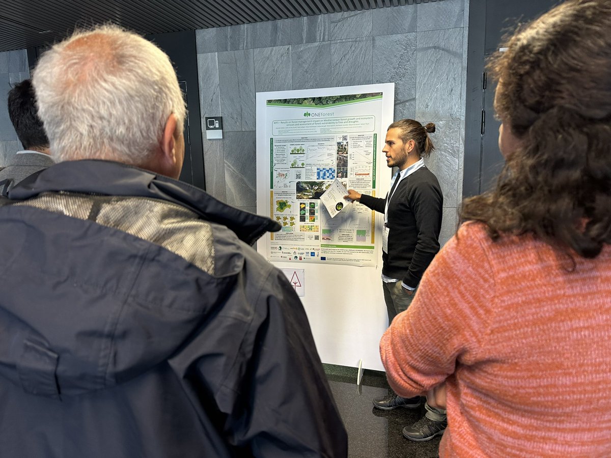 Now, attendees at the #ONEforestFinalEvent in Valladolid are immersed in a guided tour through various posters from @ONEforest_H2020! 

📣Exciting updates: soon these posters will be available on the website. Stay tuned! 

#INNOVAForONE #EUforest #H2020 #HorizonEU