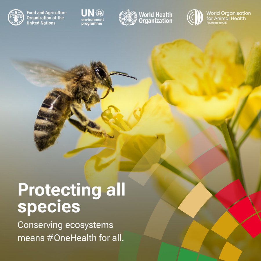 A unified approach is critical for addressing risks to the environment, plants, humans and animals. Act for #OneHealth. unep.org/technical-high… via @UNEP