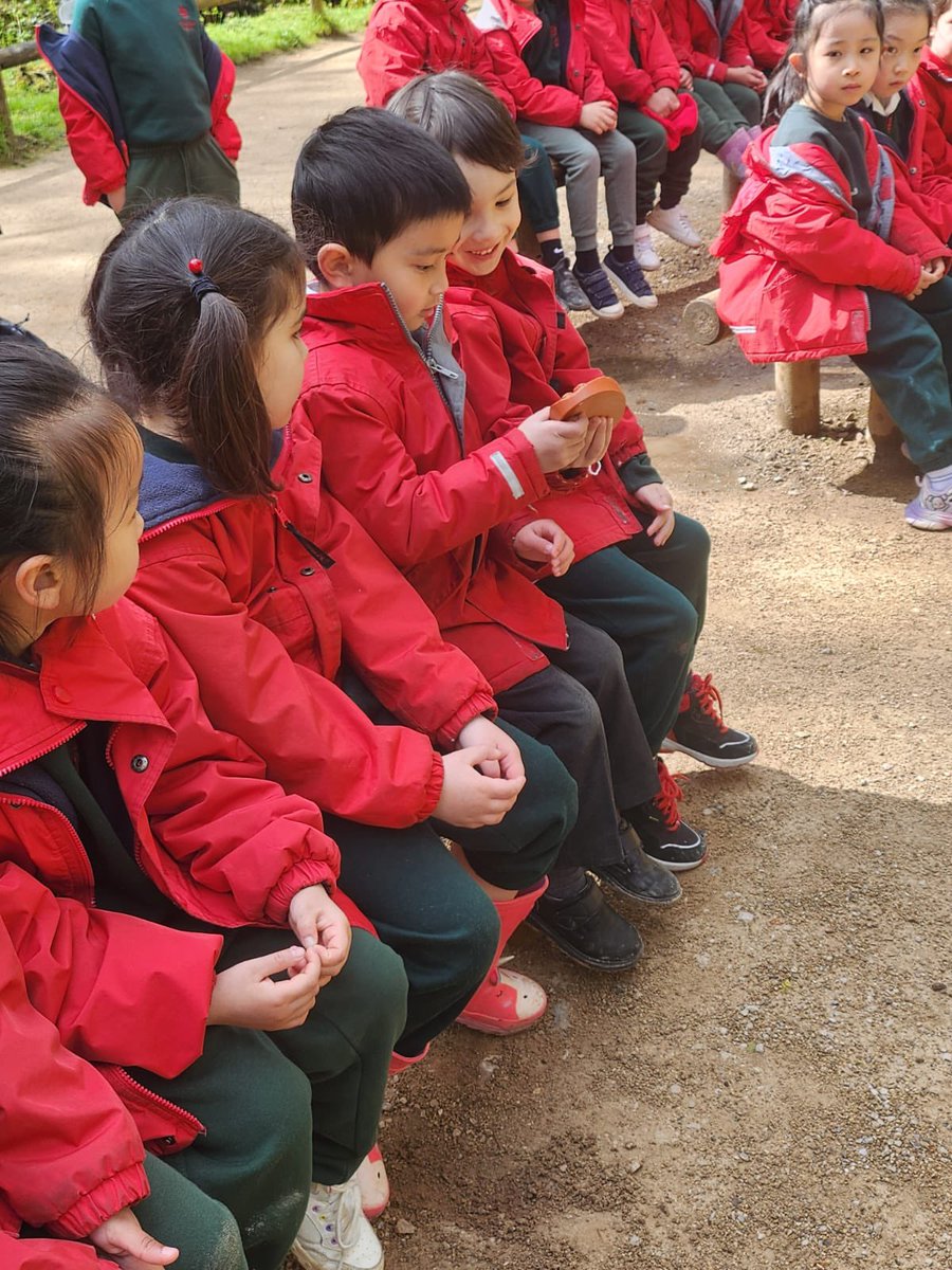 HallfieldSchool's tweet photo. 🐒 Our Year 1 adventurers had a blast exploring @Monkey_Forest 
They had a unique chance to observe these fascinating animals up close, learning all about their habits, anatomy, and behaviour. 🌿 #Year1Adventure #TrenthamMonkeyForest #LearningThroughExploration #HallfieldTrips https://t.co/Y3XUjKYVll