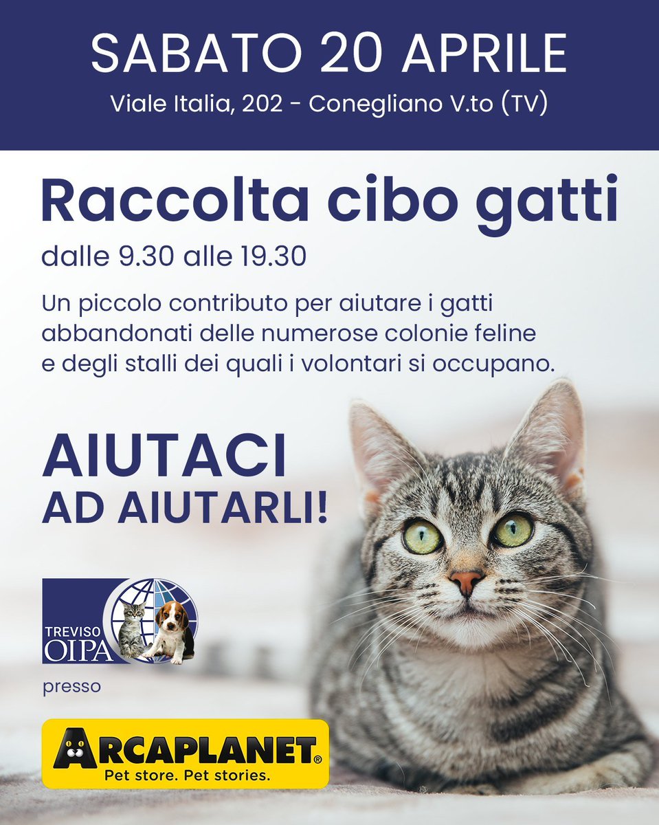 #sabato #20aprile #raccoltacibo @ #Arcaplanet #Conegliano (#vialeItalia 202) 👉facebook.com/AdozioneAnimal… #gattini #gatti #kitten #trovatelli #cucciolate #adozionegatti #protezioneanimali #animaliabbandonati #adozioneanimali #coloniefeline #catoftheday  #sos twitter.com/OipaTreviso/st…