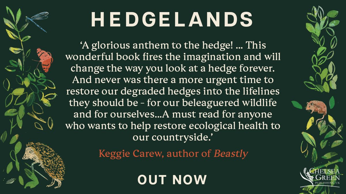 FoldeDorset's tweet photo. The very excellent Hedgelands is released today by @chelseagreen and it celebrates the joy of the hedge. 
.
Described as ‘ecological niches’,
hedges are vital for wildlife and deserve their moment in the spotlight. #hedges #conservation https://t.co/ZIWW8TBRjA