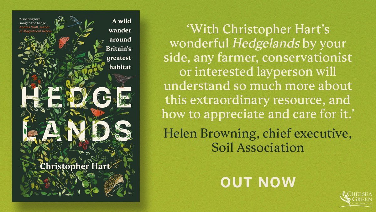 FoldeDorset's tweet photo. The very excellent Hedgelands is released today by @chelseagreen and it celebrates the joy of the hedge. 
.
Described as ‘ecological niches’,
hedges are vital for wildlife and deserve their moment in the spotlight. #hedges #conservation https://t.co/ZIWW8TBRjA