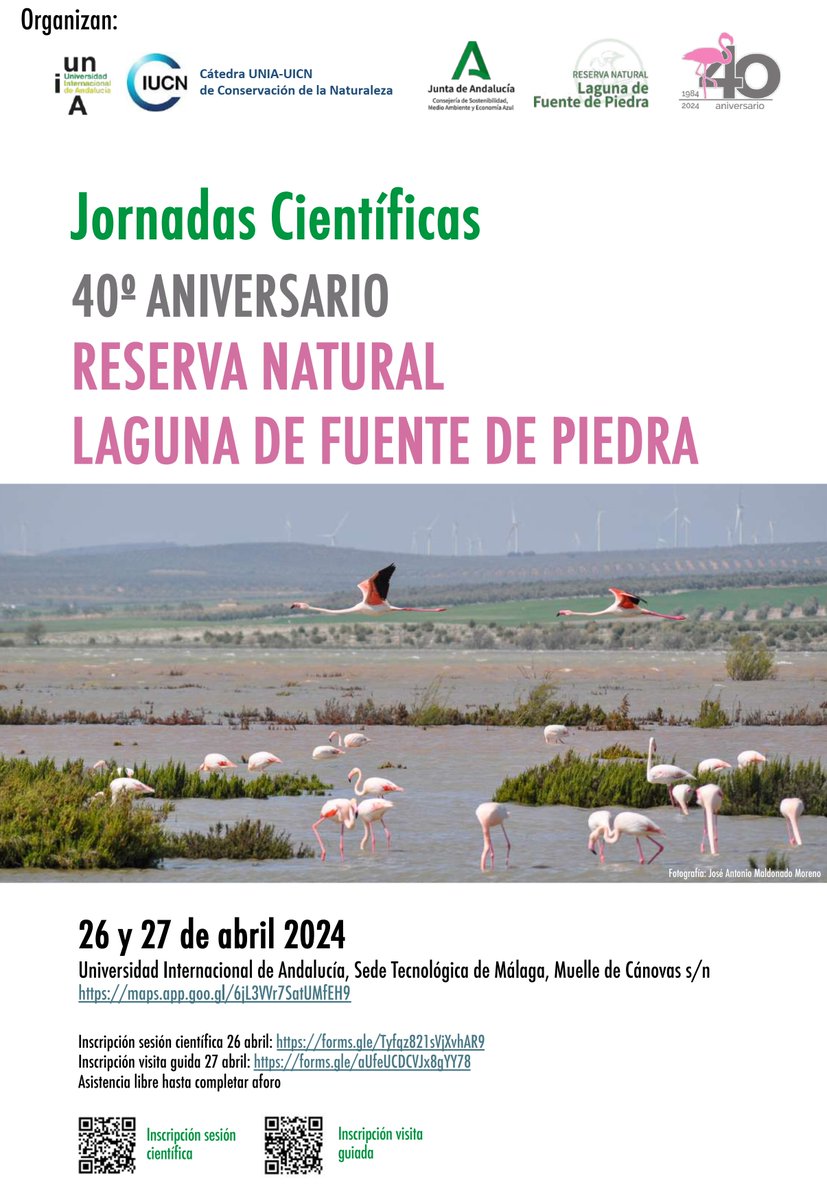 ➡️Resérvate el 27 y 28 de abril para las Jornadas Científicas del 40 aniversario de la Reserva Natural Laguna Fuente de Piedra 🦩 @ebdonana @UNIAuniversidad @SEO_BirdLife @IUCN unia.es/agenda/jornada…