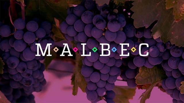 Ricos vinos Malbec para salir de lo común y que tenés que probar iprofesional.com/vinos/404217-v…