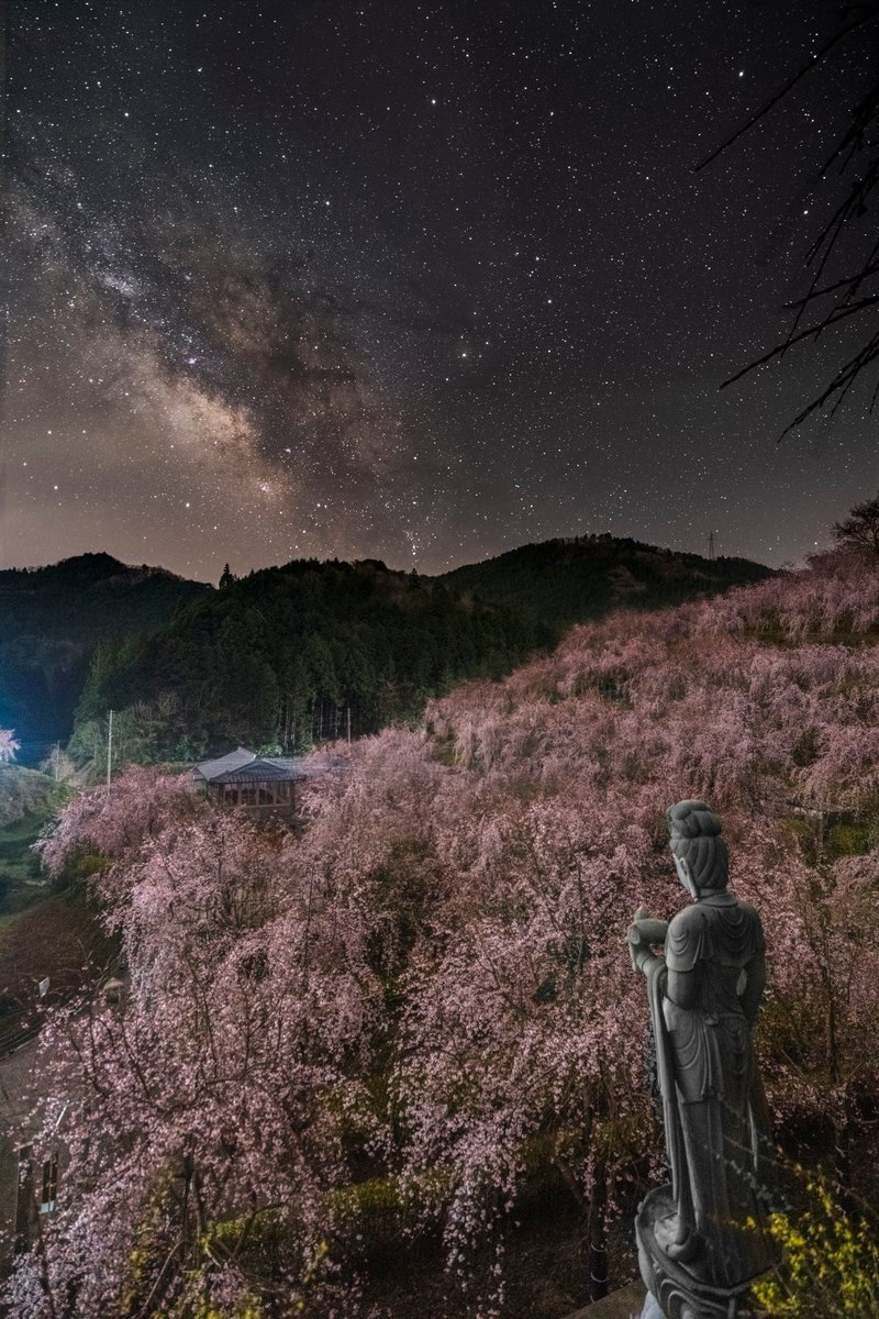 eternal beauty