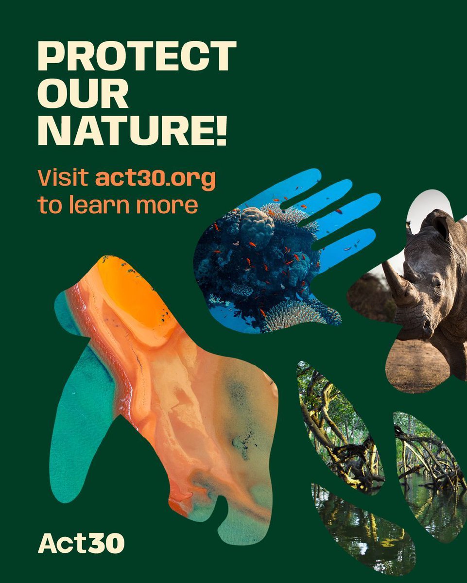 UN_Water's tweet image. Thank you IUCN for introducing #Act30 🌍 
 
A new initiative to help conserve 30% of the planet’s land and water by 2030, guided by #IndigenousPeoples, in partnership with governments &amp;amp; local communities.
 
Now is the time to act30.org