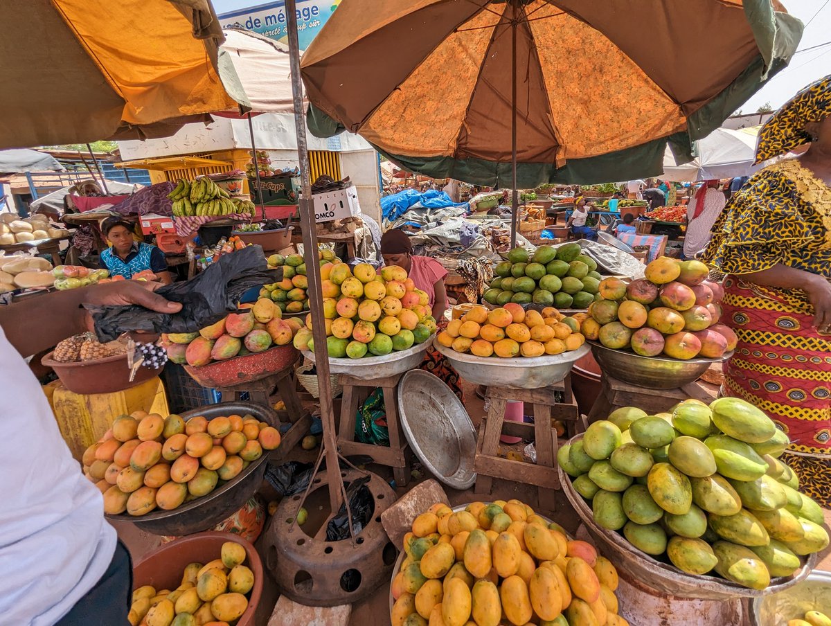 Oudraogopaul3's tweet image. Ma mère vend de bonnes mangues au marché de ouezzinville. 
Venez payé 😌
6000 tu as un carton de Hamilton rempli 😎.
#BOBO 
@saw_ismael , @RoRogarcon