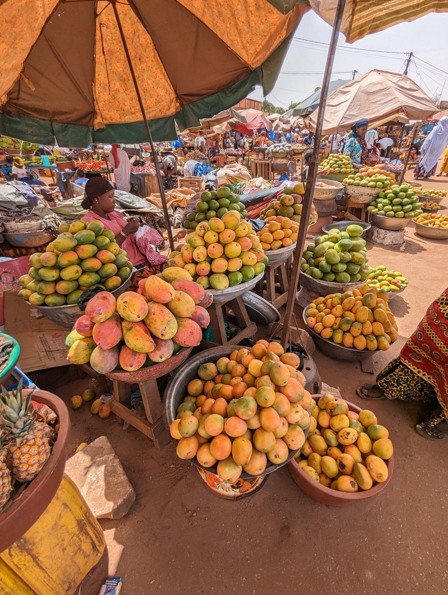 Oudraogopaul3's tweet image. Ma mère vend de bonnes mangues au marché de ouezzinville. 
Venez payé 😌
6000 tu as un carton de Hamilton rempli 😎.
#BOBO 
@saw_ismael , @RoRogarcon
