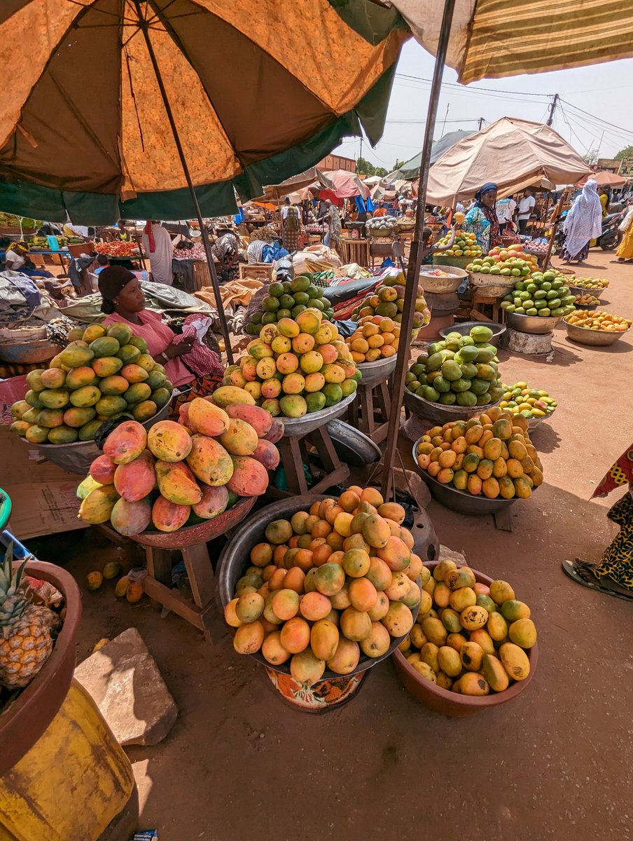 Oudraogopaul3's tweet image. Ma mère vend de bonnes mangues au marché de ouezzinville. 
Venez payé 😌
6000 tu as un carton de Hamilton rempli 😎.
#BOBO 
@saw_ismael , @RoRogarcon