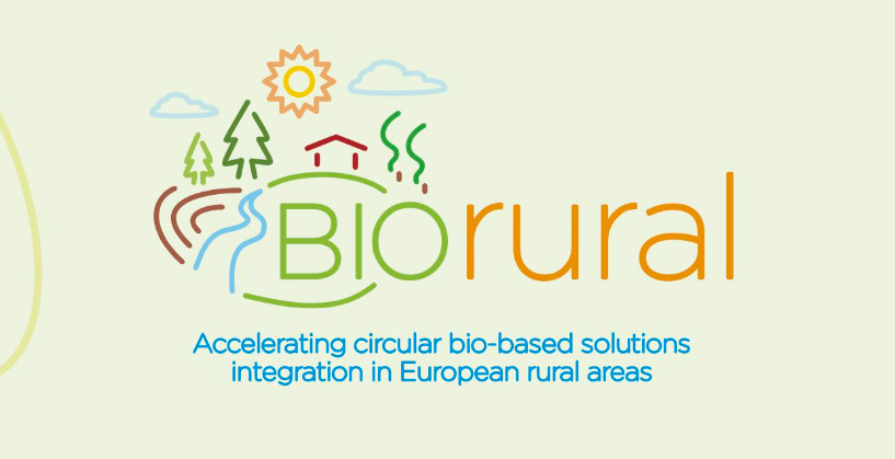 🏕 How can we foster the potential of #ruralareas? #Bioeconomy can be the answer. This was explored at the latest @bio_rural  project webinar. @bioenergyEU and its members @CERTHellas @AVEBIOM and AIEL participated in the meeting. 
🔗 Find out more here lnkd.in/dxZDETVt