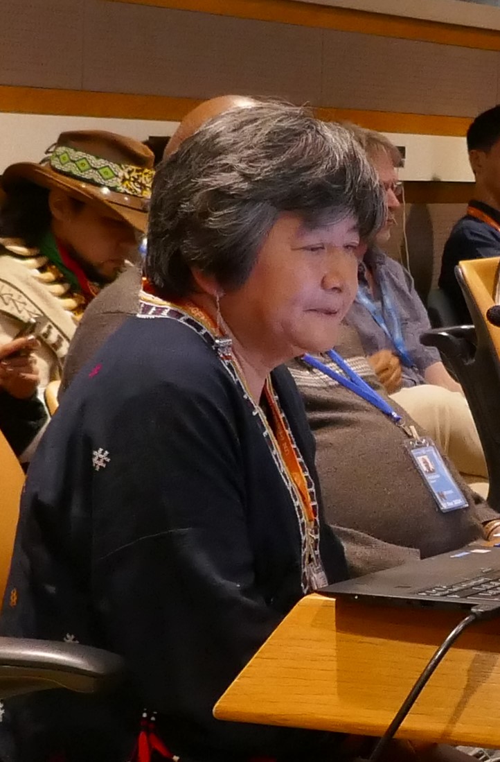 UNPFII 2024 NOTES FROM LAND IS LIFE SIDE EVENT Indigenous Peoples’ self-determination and natural resource challenges in Tanzania, Kenya, West Papua, the Philippines and Colombia. Joan Carling, IPRI, the Philippines. In the Philippines we have a law called the Indigenous…