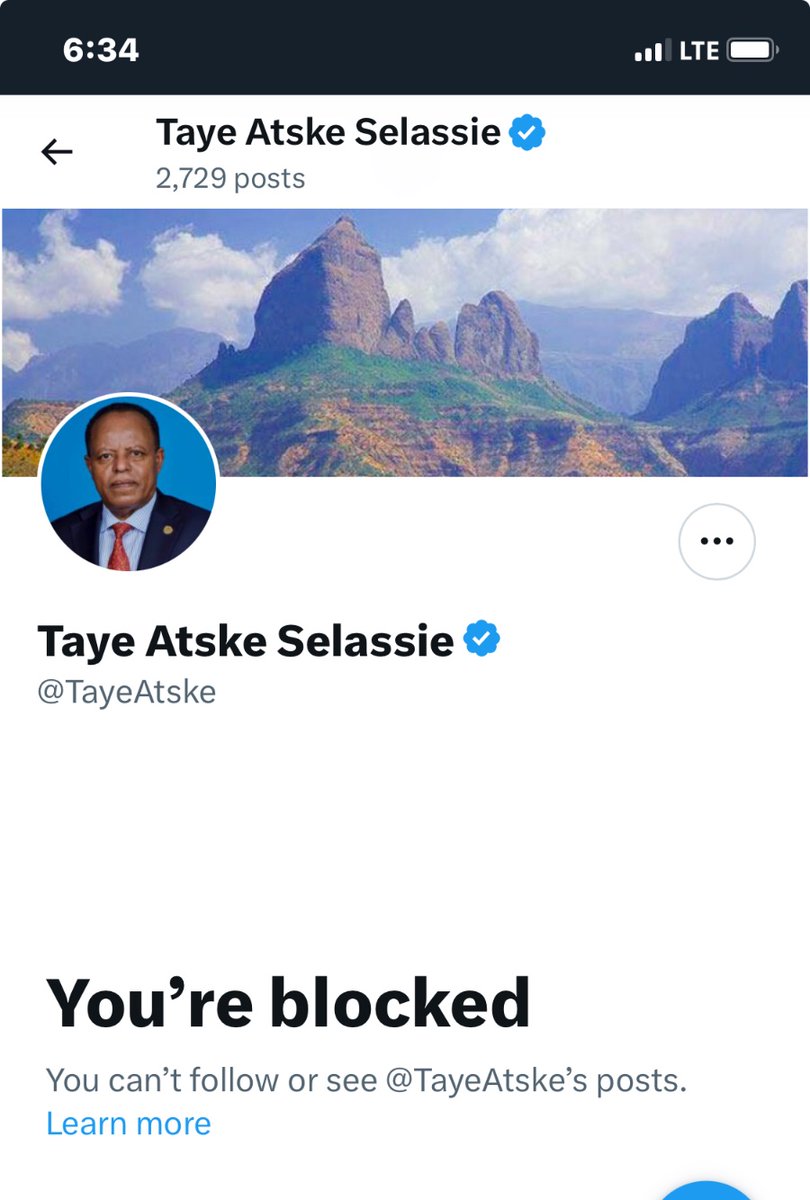 Thin skinned as one can be, @TayeAtske continues to block anyone who criticizes him or his atrocious government! ዲንቄም ህዝብ አገልጋይ!! 😆