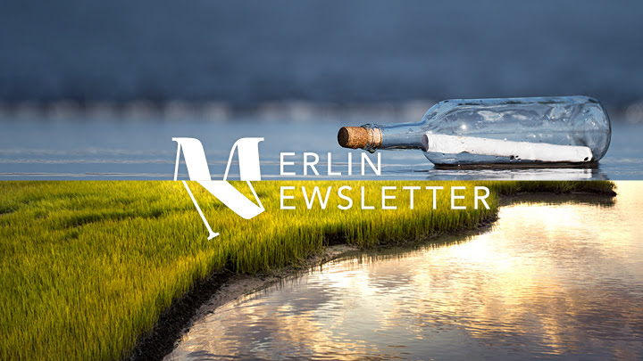 Are you interested in the restoration of rivers & aquatic ecosystems? 🌊 Dive into the @euMERLINproject newsletter! Get biannual updates on blog posts, projects, podcasts & the future of river restoration. Read this month's edition & subscribe for more: app.getresponse.com/view.html?x=a6…