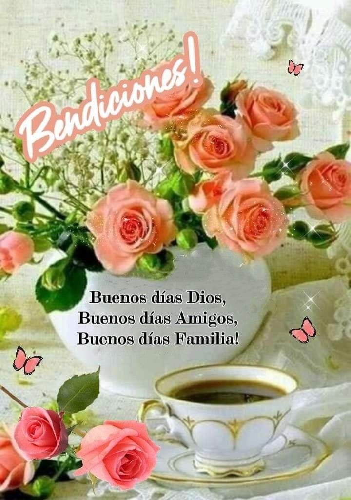 Laura Suazo tweet media