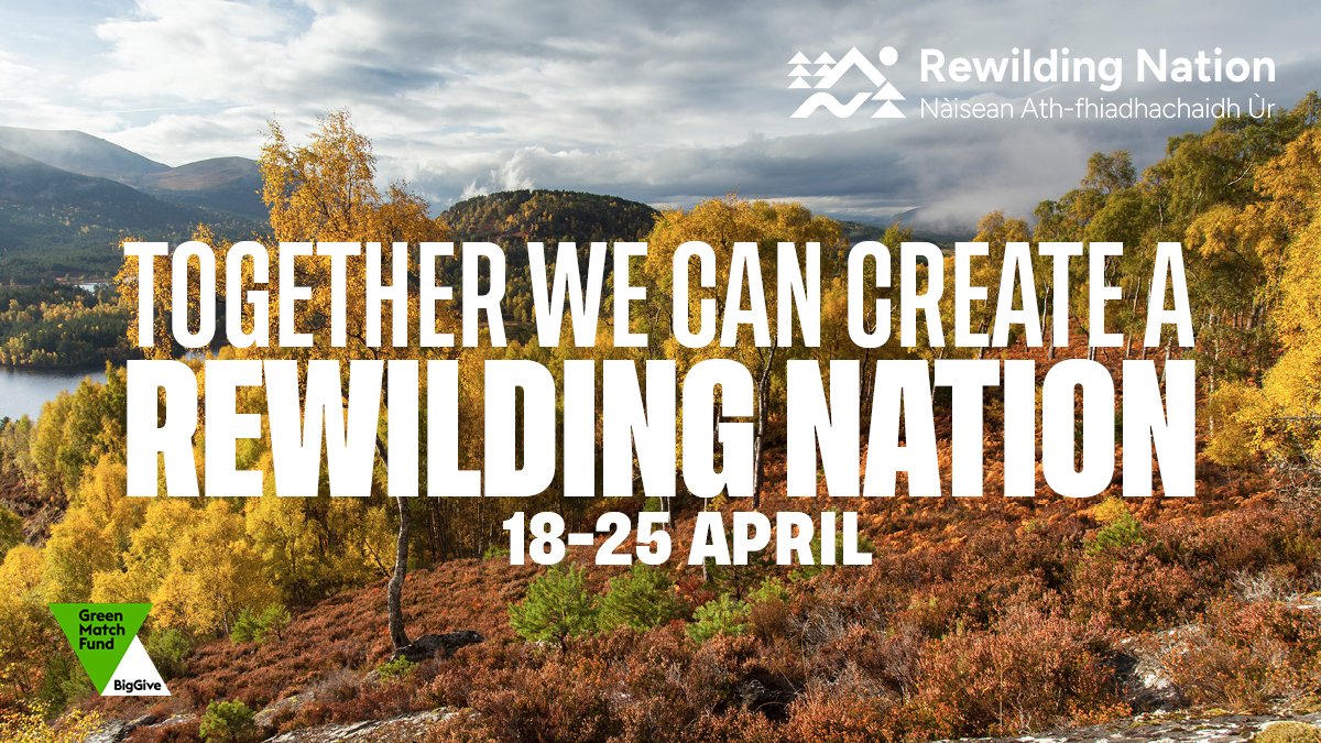 Join us and @ScotRewilding in calling for Scotland to become a #RewildingNation, rewilding 30% of Scotland's land and seas for climate, nature & people. Donate now to @RewildingB's #BigGive Match Fund before 25 April – your contribution will be DOUBLED! bit.ly/3U1jk0W