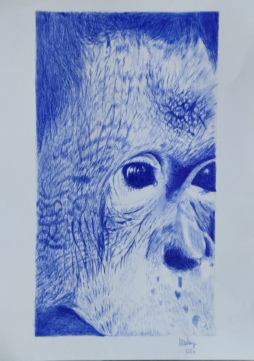 PatxiMadariaga's tweet photo. Dibujando con bolígrafo BIC. Papel A4 tipo Bristol de 200 gr
#bicart #biccreate #dibujo #dibujoabolígrafo #inkdrawing #dibujoaboligrafoazul #penballdrawing #bic https://t.co/uDzKYamC9y