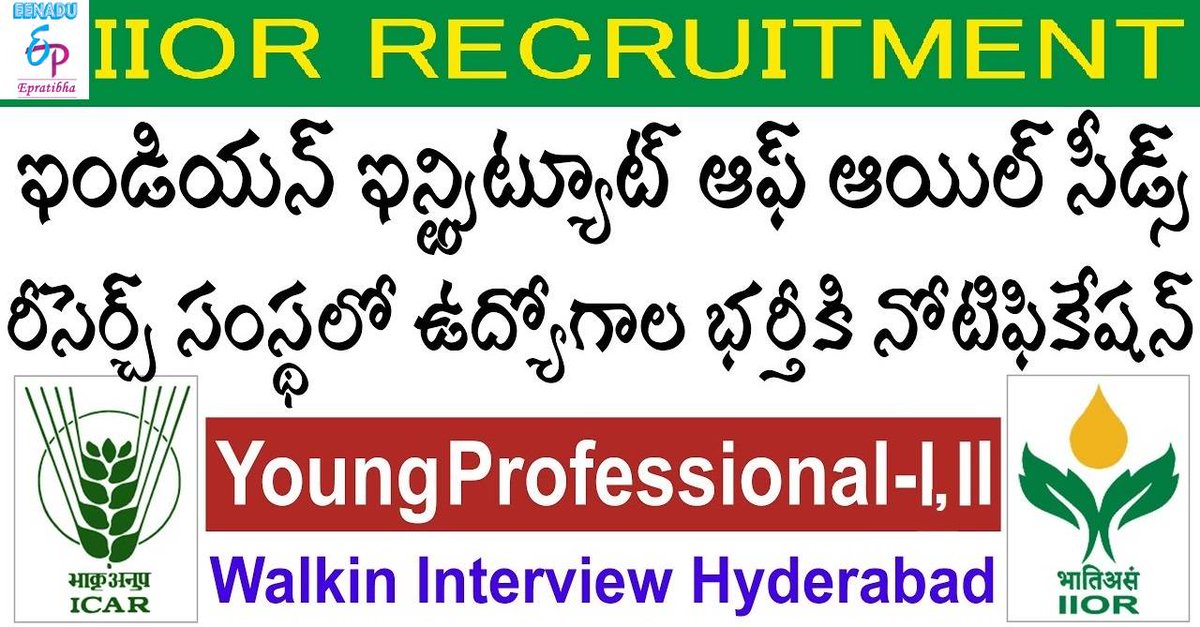 eenaduepratibha's tweet photo. Walk-ins: ఐఐఓఆర్లో యంగ్ ప్రొఫెషనల్ పోస్టులు
https://t.co/KStotBOR4i
#walkins #walkinjobs #iior #ICAR #YoungProfessionals #epratibha #eenaduepratibha #eenadu https://t.co/LdGXDYfhnO