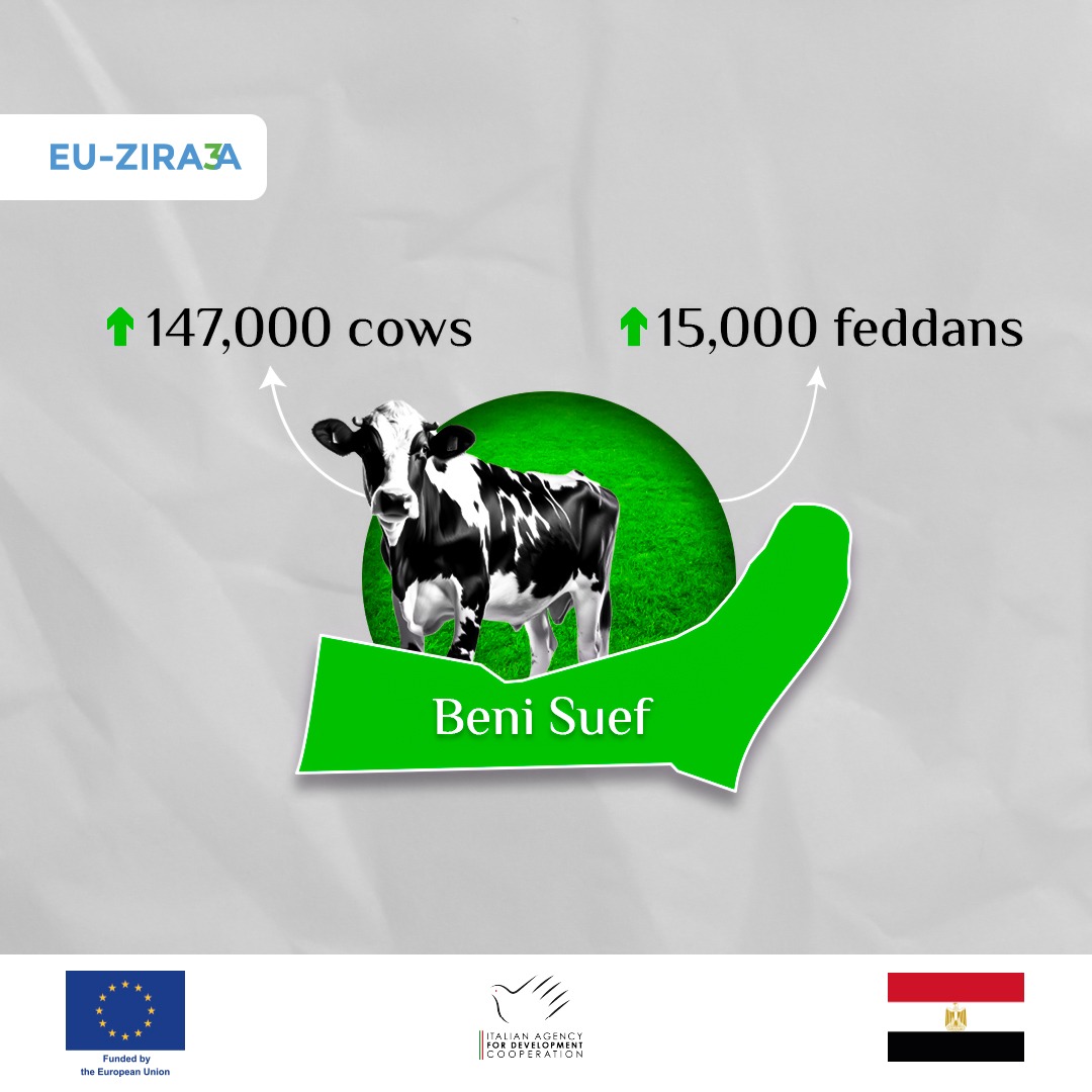 Governorate of Beni Suef is famous for medicinal and aromatic plants, It is one of the areas targeted by EU-ZIRA3A to enhance sustainability, prevent pollution, and improve productivity.
#EUinEgypt
#MinistryOfAgriculture
#Agenzia_italiana_per_la_cooperazione_allo_sviluppo