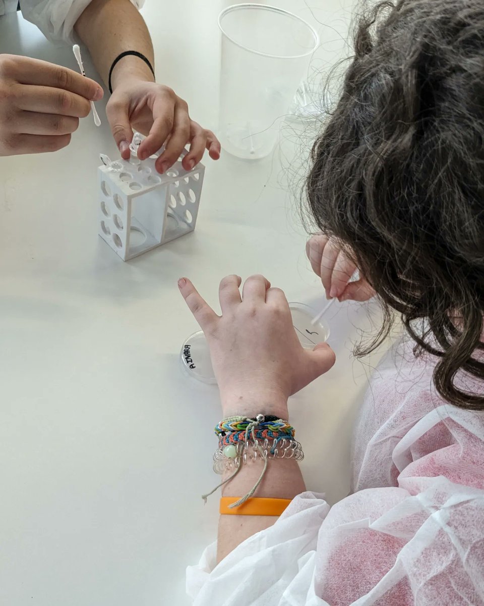 liacesar_etopia's tweet photo. En "Bacteria a la vista", el alumnado prepara sus placas, toma muestras del entorno y las siembra para seguir en sus centros el crecimiento bacteriano y comprobar, entre otras cosas, la efectividad de productos como el jabón. Con la colaboración de @FECYT_Ciencia @CienciaGob https://t.co/tpNBLnHGz3