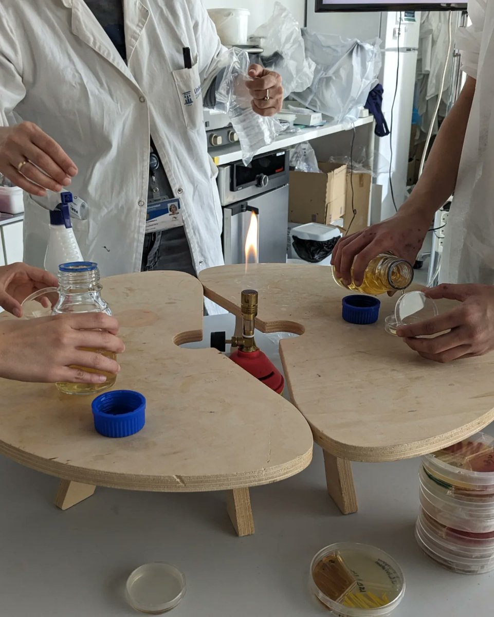 liacesar_etopia's tweet photo. En "Bacteria a la vista", el alumnado prepara sus placas, toma muestras del entorno y las siembra para seguir en sus centros el crecimiento bacteriano y comprobar, entre otras cosas, la efectividad de productos como el jabón. Con la colaboración de @FECYT_Ciencia @CienciaGob https://t.co/tpNBLnHGz3
