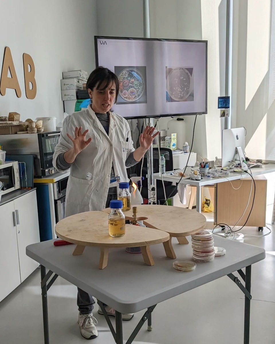 liacesar_etopia's tweet photo. En "Bacteria a la vista", el alumnado prepara sus placas, toma muestras del entorno y las siembra para seguir en sus centros el crecimiento bacteriano y comprobar, entre otras cosas, la efectividad de productos como el jabón. Con la colaboración de @FECYT_Ciencia @CienciaGob https://t.co/tpNBLnHGz3