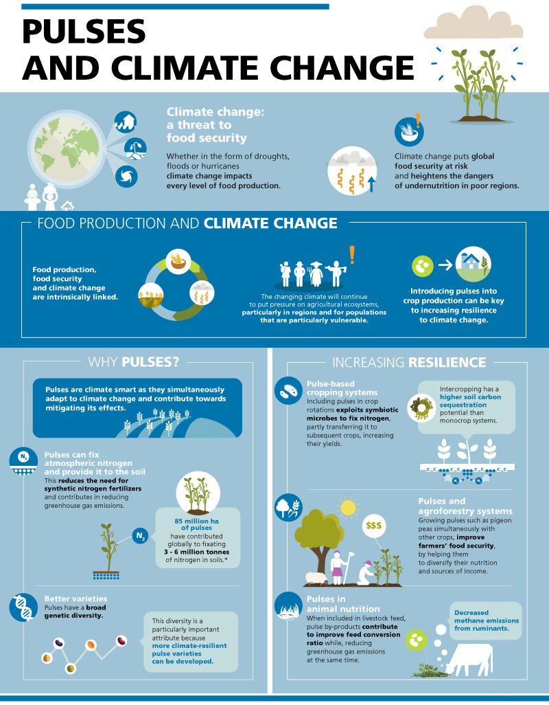 Pulses are among Earth's mighty, tiny superheroes. 💚 

They aren't just essential for food security and nutrition -pulses are also critical in our fight against the twin crises of hashtag#ClimateChange and hashtag#biodiversity loss.

Let's celebrate and #LovePulses!

via @FAO