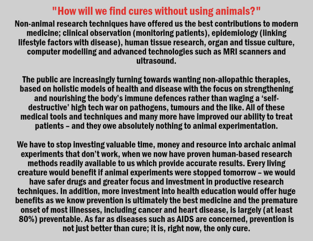 FAQ - How will we find cures without using animals? #theprocessofanimaltestinghasneverbeenscientificallyvalidated @CBUK10 @CBUK22 @ArtCBUK