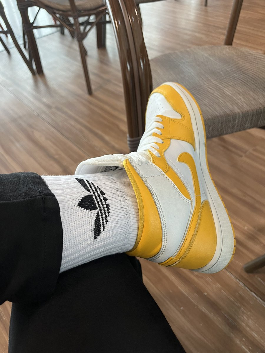 rmpenna's tweet photo. 💛 https://t.co/NTTmHw68PT