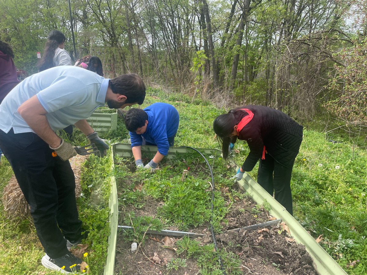 Our #YESclub worked hard to set up the #CommunityGarden at @RandolphIBStars ! #ThankYou to @HopeMultiplied and Samson Properties for the donations of work gloves and plants! @APS_ProjectYES #APSgreen