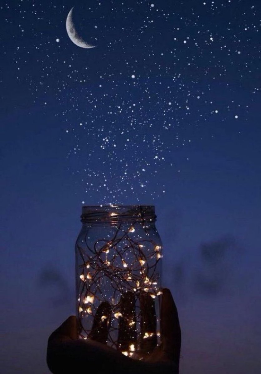 MOON LOVER tweet media