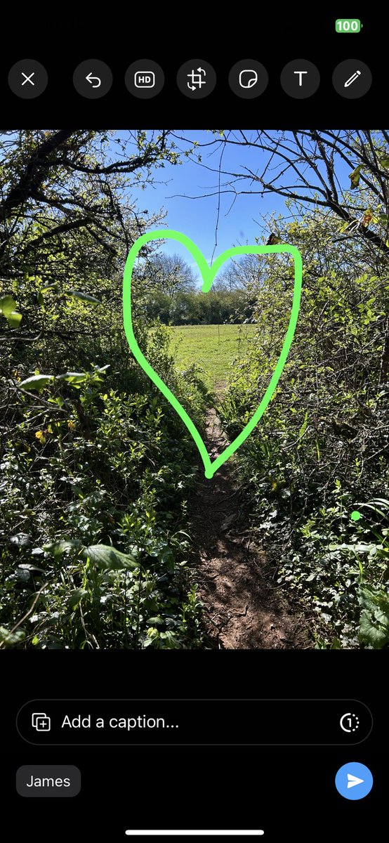 Carved out a little time for one of my favourite dog walks this morning - not many photos because I was too busy enjoying it. But came back and found a hidden heart in the third image. Isn't nature magical? 💚 ✨