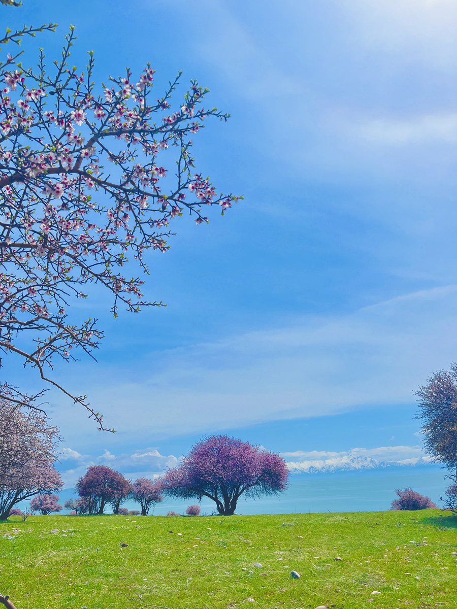 yunusarzk (@yunsarzk) on Twitter photo 