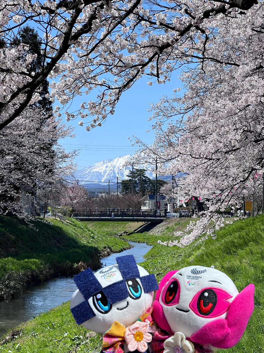 ミラソメちゃんとの春旅を振り返る☺️

✨桜の向こうに妙高山✨

      ﾆﾎﾝﾉｹｼｷ💙🌸ｽﾃｷｿﾒ~

#ミライトワ #ソメイティ
#新潟 #上越 #高田 #桜 #お花見
#Miraitowa #Someity #cherryblossom