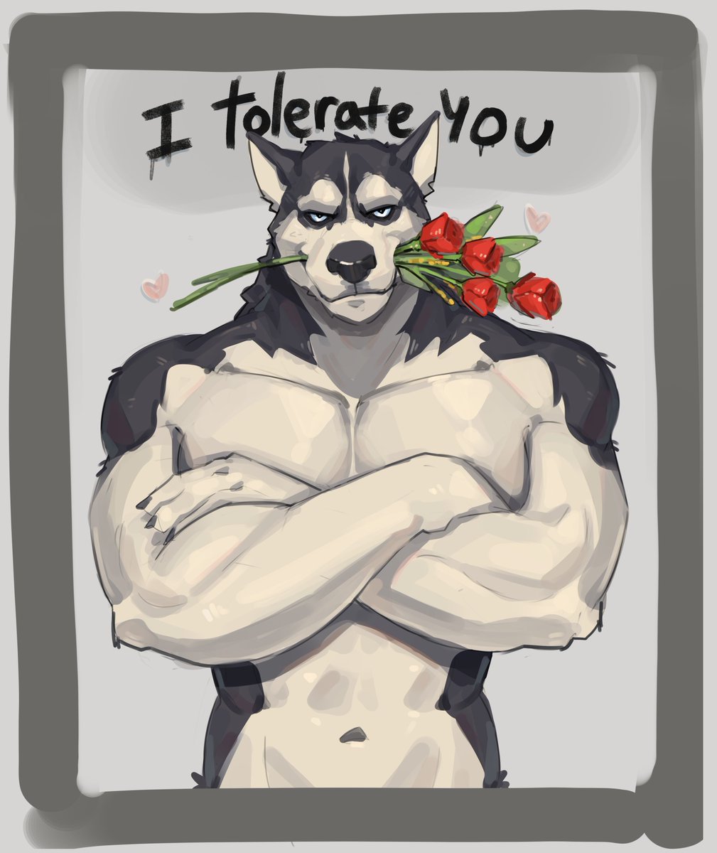 Good morning and evening