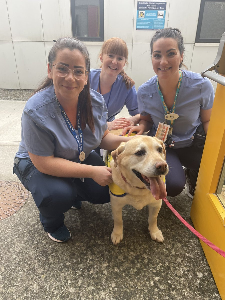 Beaumont ICU Nursing tweet media