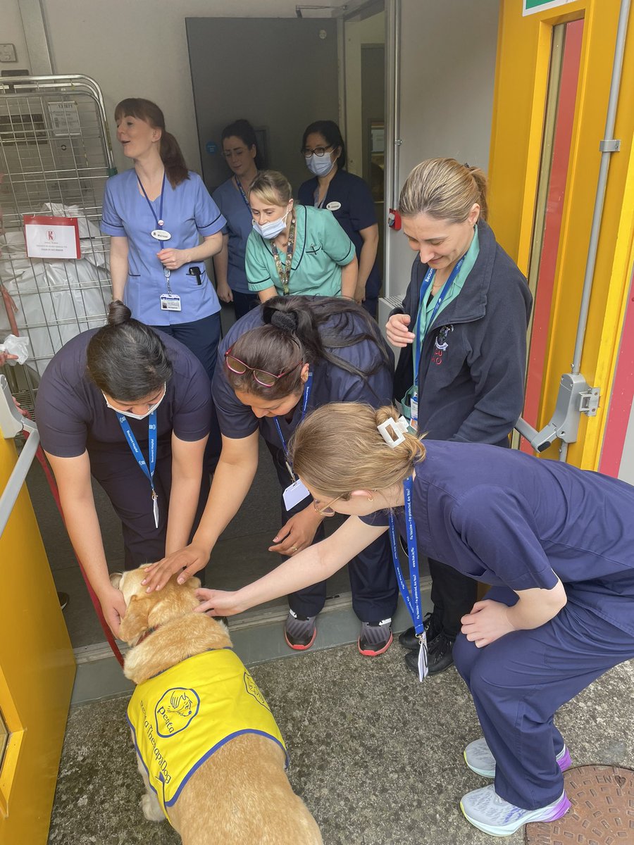 Beaumont ICU Nursing tweet media