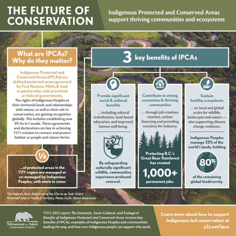 🏞 Indigenous Protected and Conserved Areas (IPCAs) matter! Here are 3 key benefits of IPCAs: ✅ Provide significant social & cultural benefits ✅ Contribute to strong economies & thriving communities ✅ Sustain healthy ecosystems via @Y2Y_Initiative