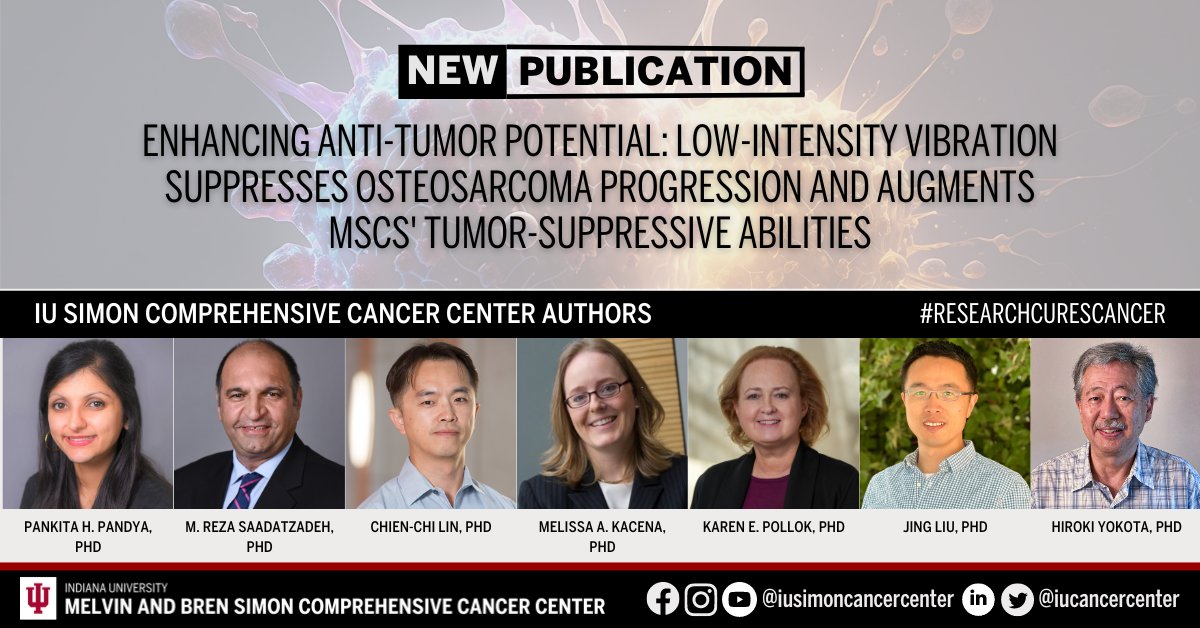 Gain insights from a new article published in Theranostics by the cancer center’s Pankita H. Pandya, PhD, M. Reza Saadatzadeh, PhD, Chien-Chi Lin, PhD, Melissa A. Kacena, PhD, Karen E. Pollok, PhD, Jing Liu, PhD, and Hiroki Yokota, PhD. Learn more: ow.ly/UTJG50R6WFL.