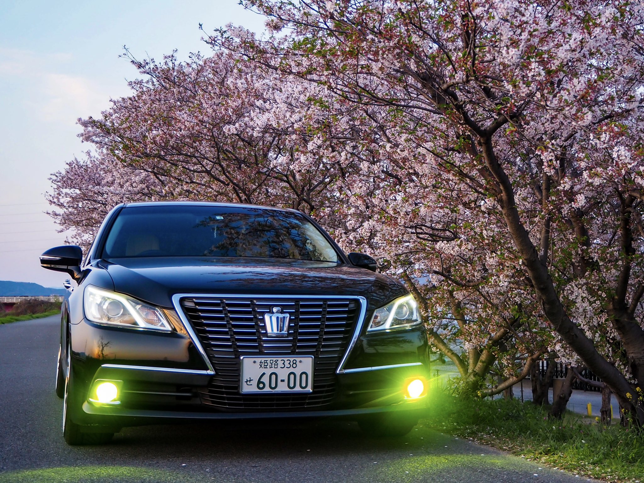 まさやん (@msy6090) / X