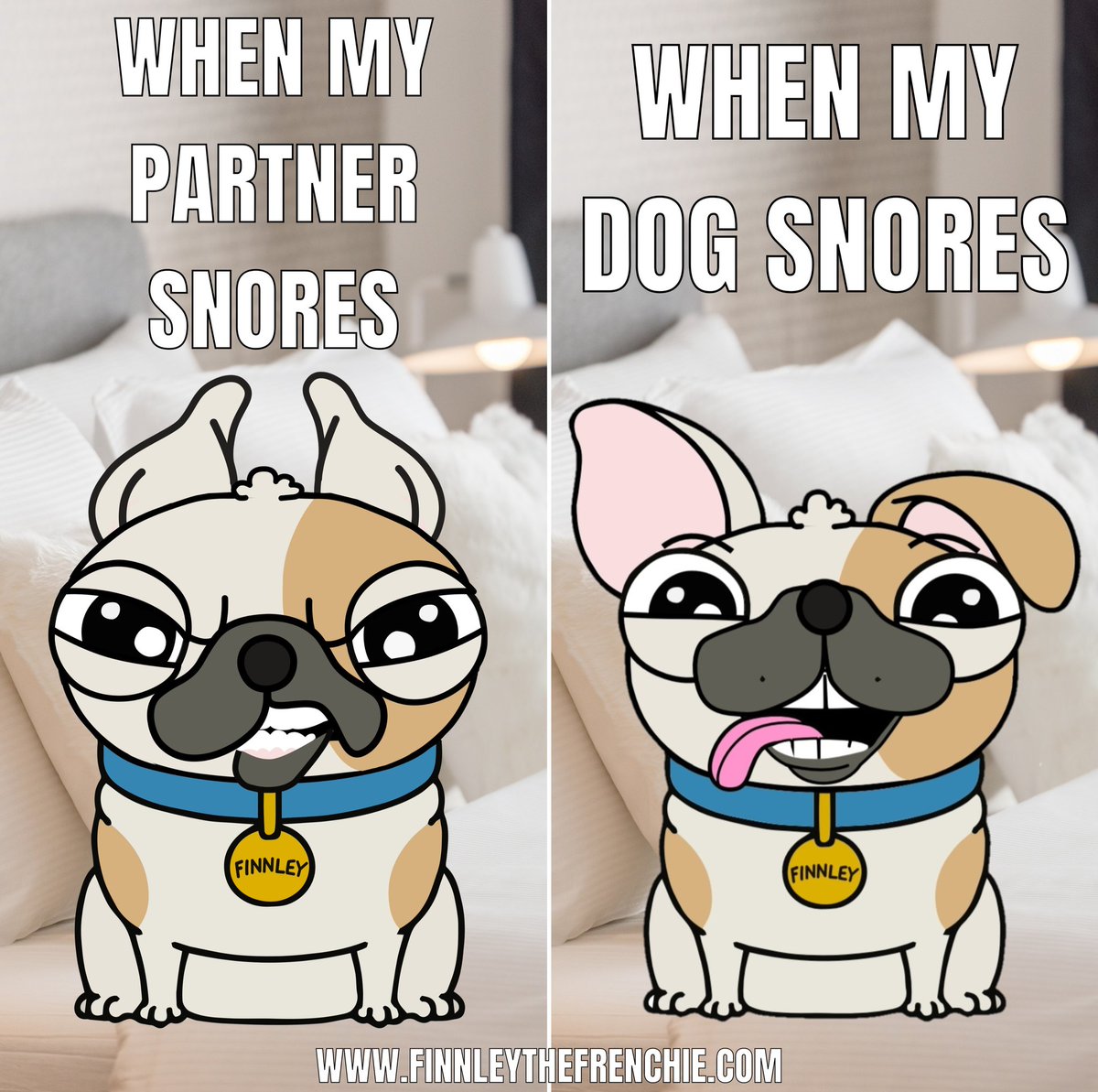 Sweet Dreams! 😴 🤪

finnleythefrenchie.com 

#dog #comedy #dogsoftwitter #dogsoffacebook #dogsofinsta #dogsofinstagram #pet #humor #cartoon #drawing #comics #memes #thursdaymorning #thursdayvibes #ThursdayMotivation #ThursdayThoughts