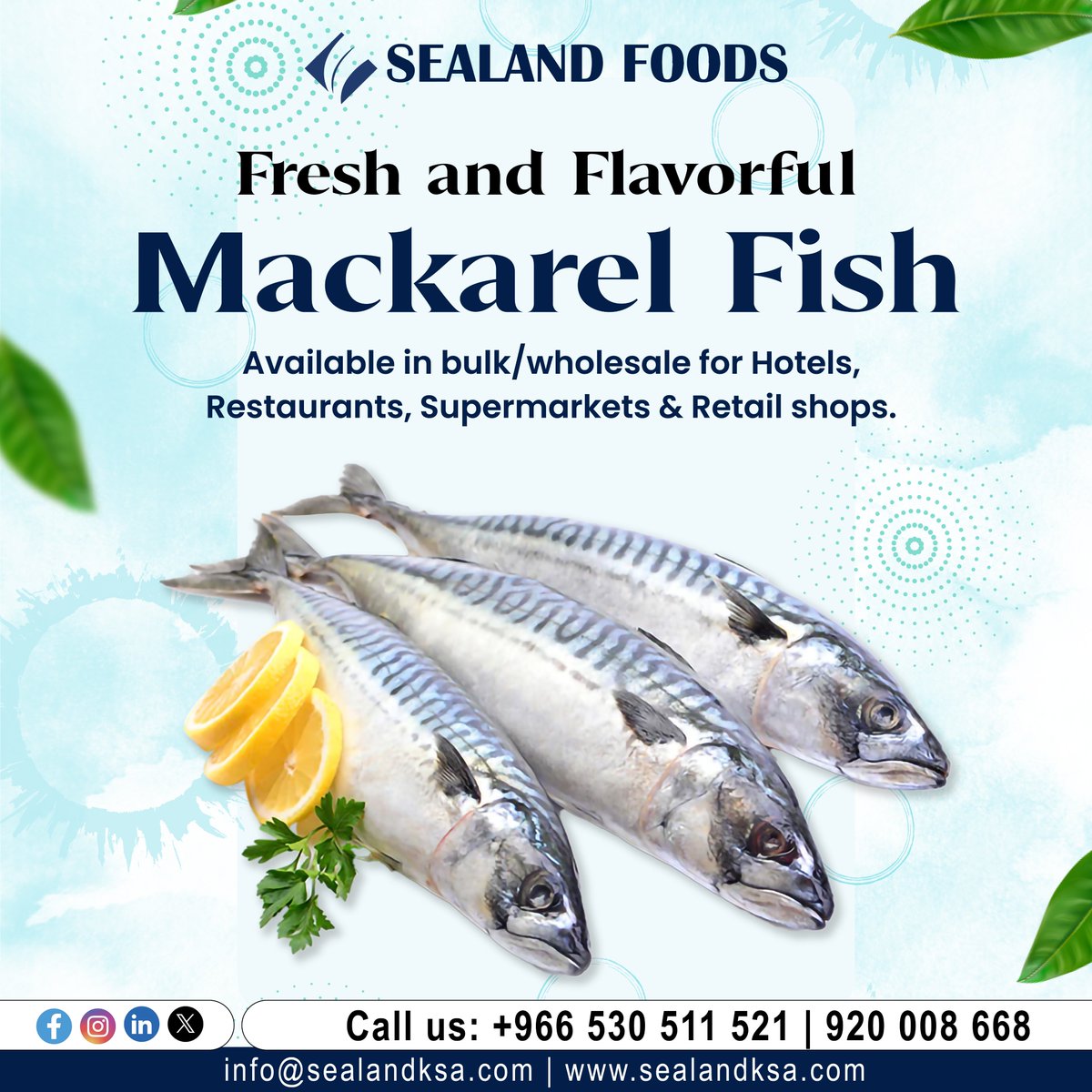 Your go-to catch for bulk orders! Our Mackerel promises freshness and flavor in every pack.

#sea #fresh #seafood #freshfood #healthyfood #freshseafood #seafoodlovers #seafoods #seafooddelivery #bestseafood #freshout #seafoodlover #shrimp #tuna #crab #seafoodies #Jeddah