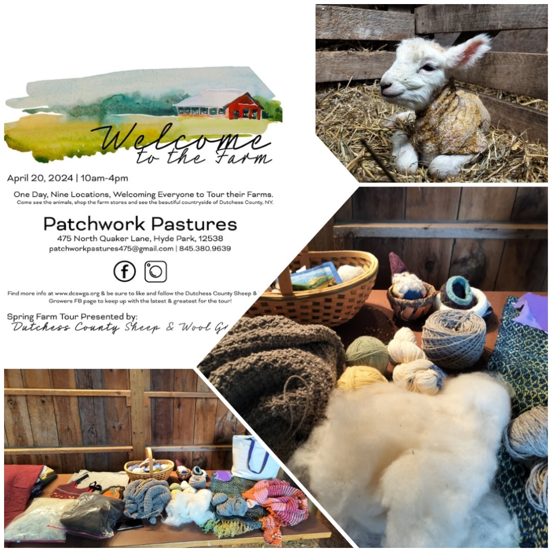 Got wool?
We do. Why not visit our farm this Saturday to see everything wool. Wool is a versatile natural fiber which is used in everything from high fashion to knitted garments to protective clothing.
Oh and you can say hello to our newest wool producers...the lambs!