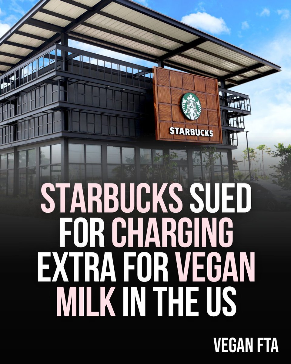 Starbucks sued for charging extra for plant-based milk in the US. 🤔🌱 👉️ Read more: veganfta.com/2024/03/23/sta… #milk #plantbased #vegan #dairy #starbucks #plantmilk